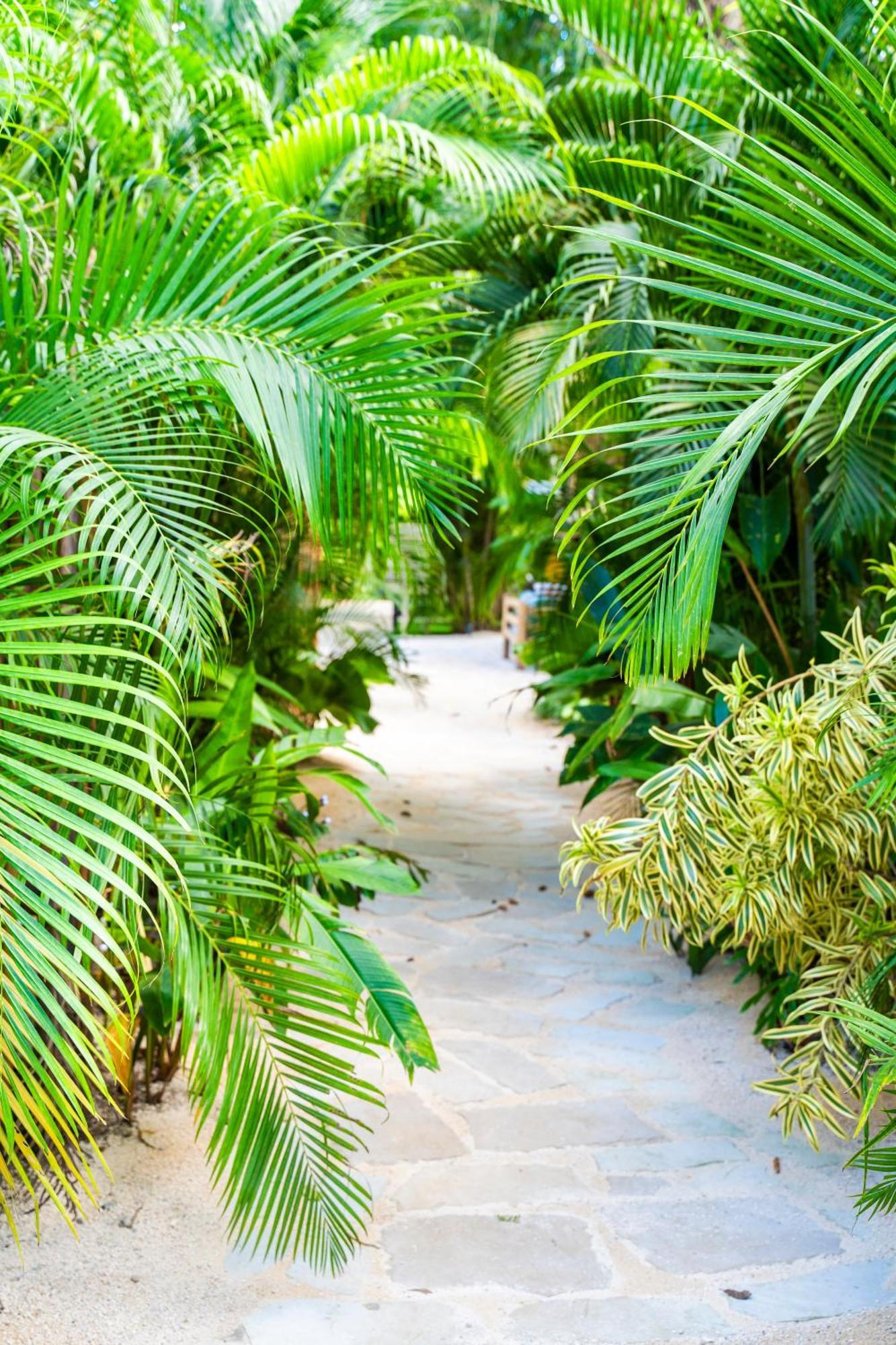 Norte Nosara - Steps To Playa Guiones Εξωτερικό φωτογραφία